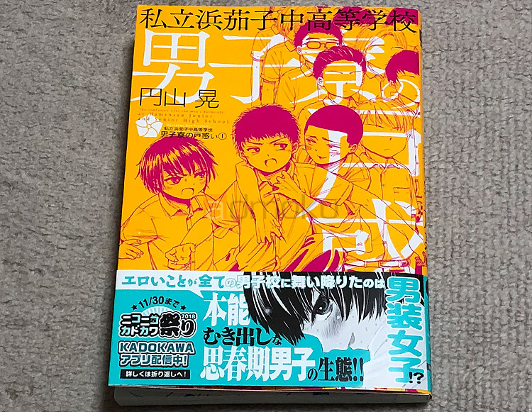 私立浜茄子中高等学校男子寮の戸惑い 1巻 レビュー 男子校に変装して生活するjcが思春期のエロネタと戦う マイ雑記ドットコム